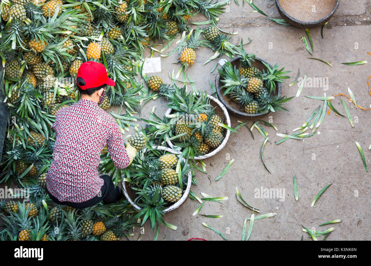 HANOI, VIETNAM - 24. MAI 2017: Vietnamesische Arbeitnehmer Sortierung große Menge Ananas Obst in kleinere Behälter für Straßenverkäufer. Frucht ist jedem verkauften Stockfoto