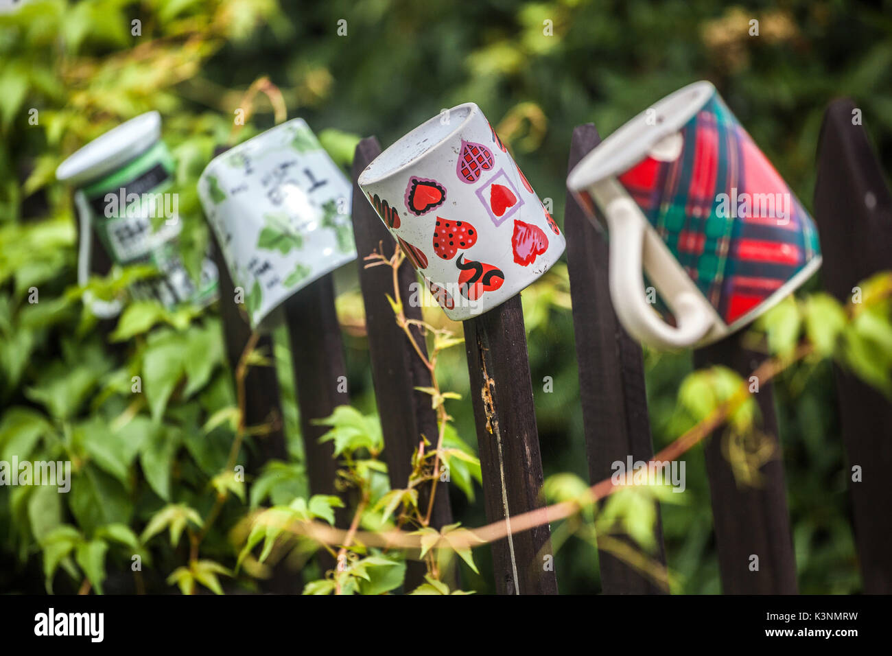 Keramikbecher, die am hölzernen Gartenzaun hängen, ein Becher mit Herzen und Stillleben Tschechien Stockfoto