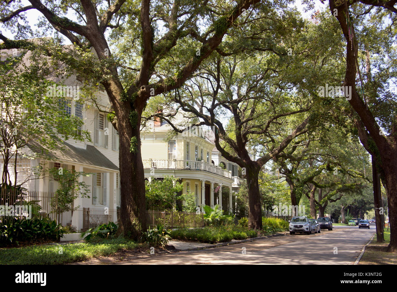 Viktorianischen Villen und alten Eichen Futter St. Charles Avenue. Uptown, New Orleans, LA. Stockfoto