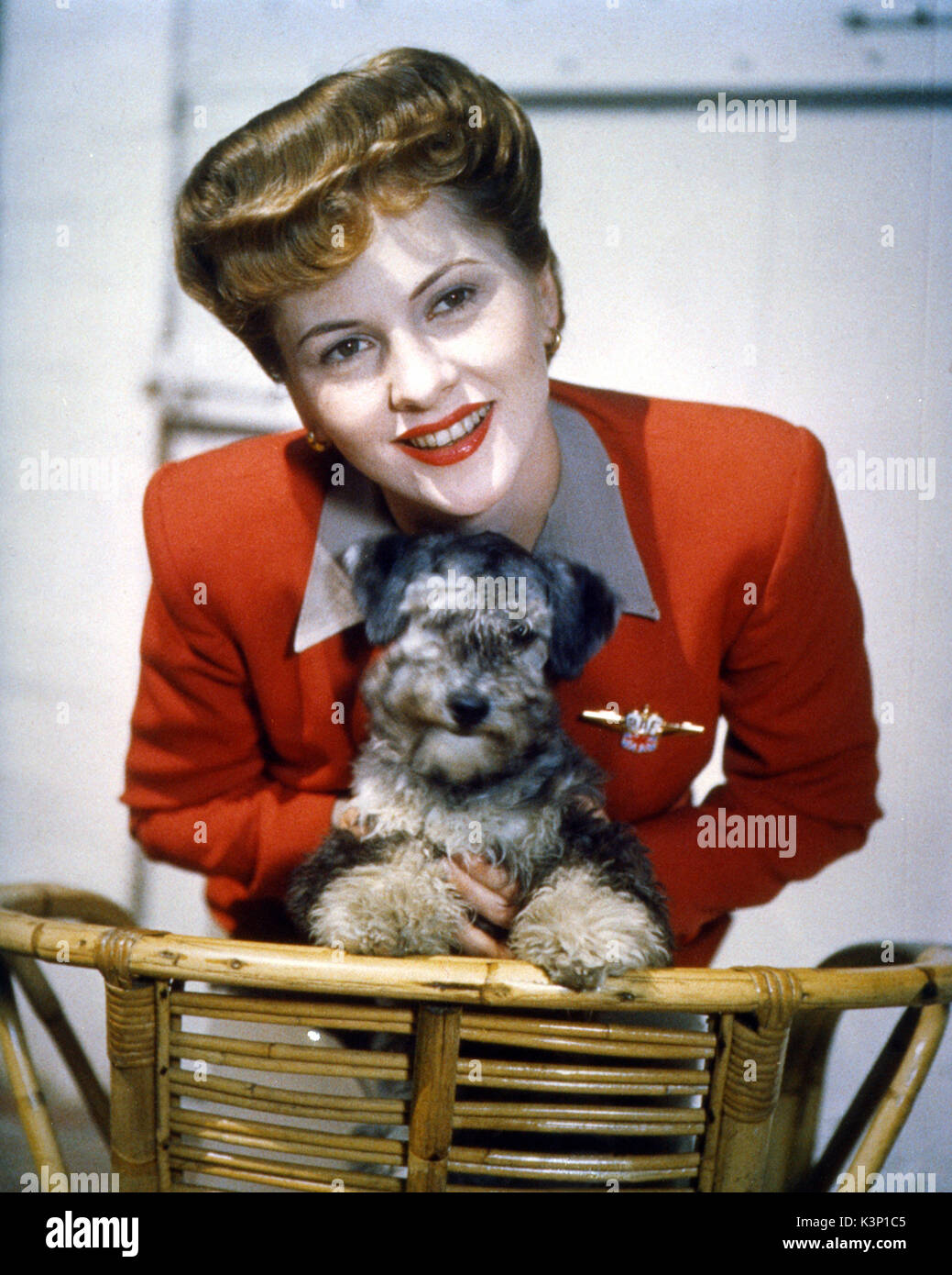 JOAN FONTAINE [1917 - 2013] Britische Schauspielerin Datum: 2013 Stockfoto