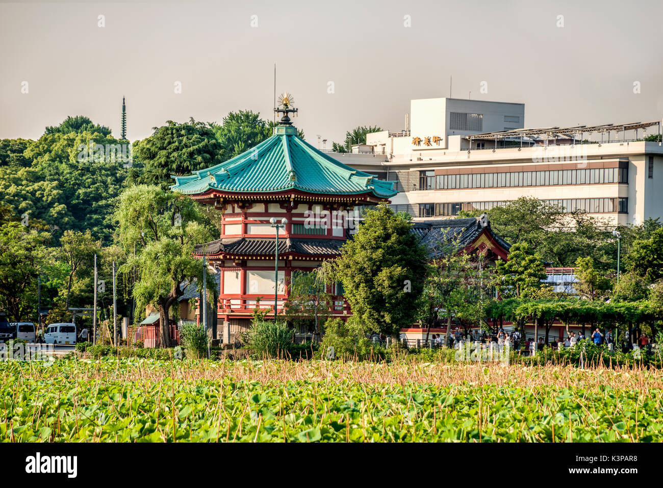 Benten tun Tempel am Shinobazu Teich, Ueno Parkbereich, Tokyo, Japan Stockfoto