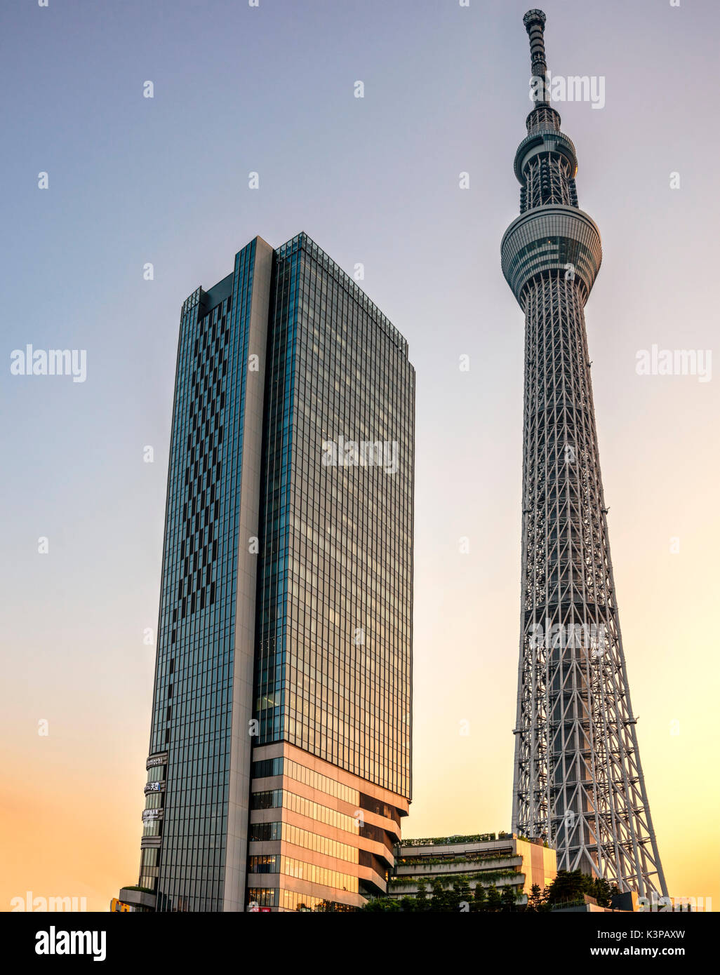 Tokyo Skytree (Tokyo Sukaitsurī) Aussichtsturm in Sumida in der Abenddämmerung, Tokio, Japan Stockfoto