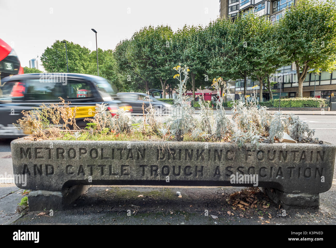In einem umgebauten Trog von der Metropolitan Trinkbrunnen und Viehtränke Association in London. Stockfoto