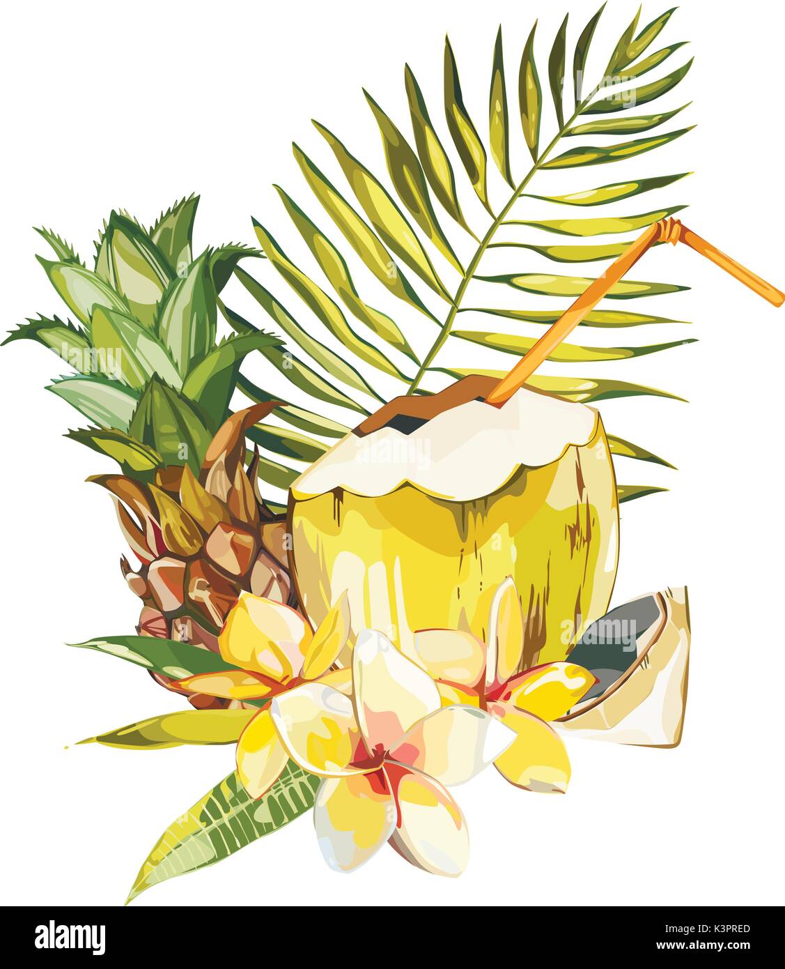 Vektor coconut Hand gezeichnete Skizze mit plumeria und Ananas. Aquarell Vektor tropischen Essen Abbildung. Auf weissem Hintergrund. Stock Vektor