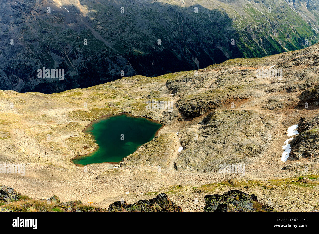 Mit Blick auf den Rock Pool unter den Piz Rosatsch Berg, Schweiz Stockfoto