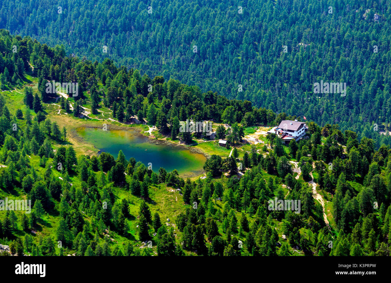 Das üppige Grün des Sees Dals Chods, St. Moritz, Schweiz Stockfoto