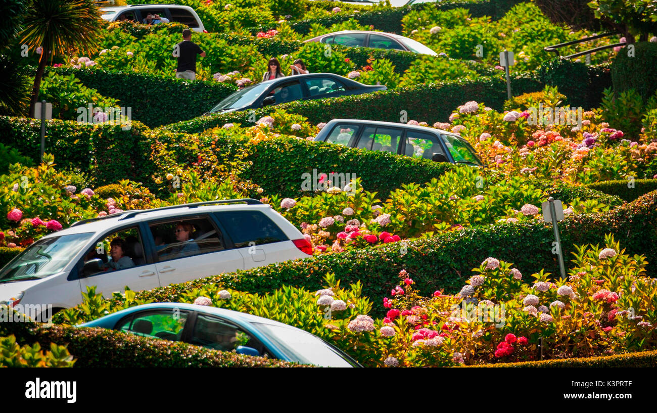 Die Lombard Street, San Francisco, Kalifornien, USA Stockfoto