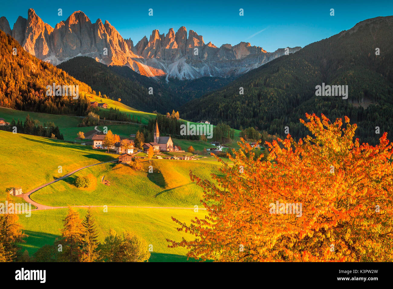 Funes Tal, Trentino Alto Adige, Italien. Santa Maddalena Dorf, das von Hügeln umgeben, mit der geisler auf dem Hintergrund und eine bunte Bäume im Vordergrund. Stockfoto