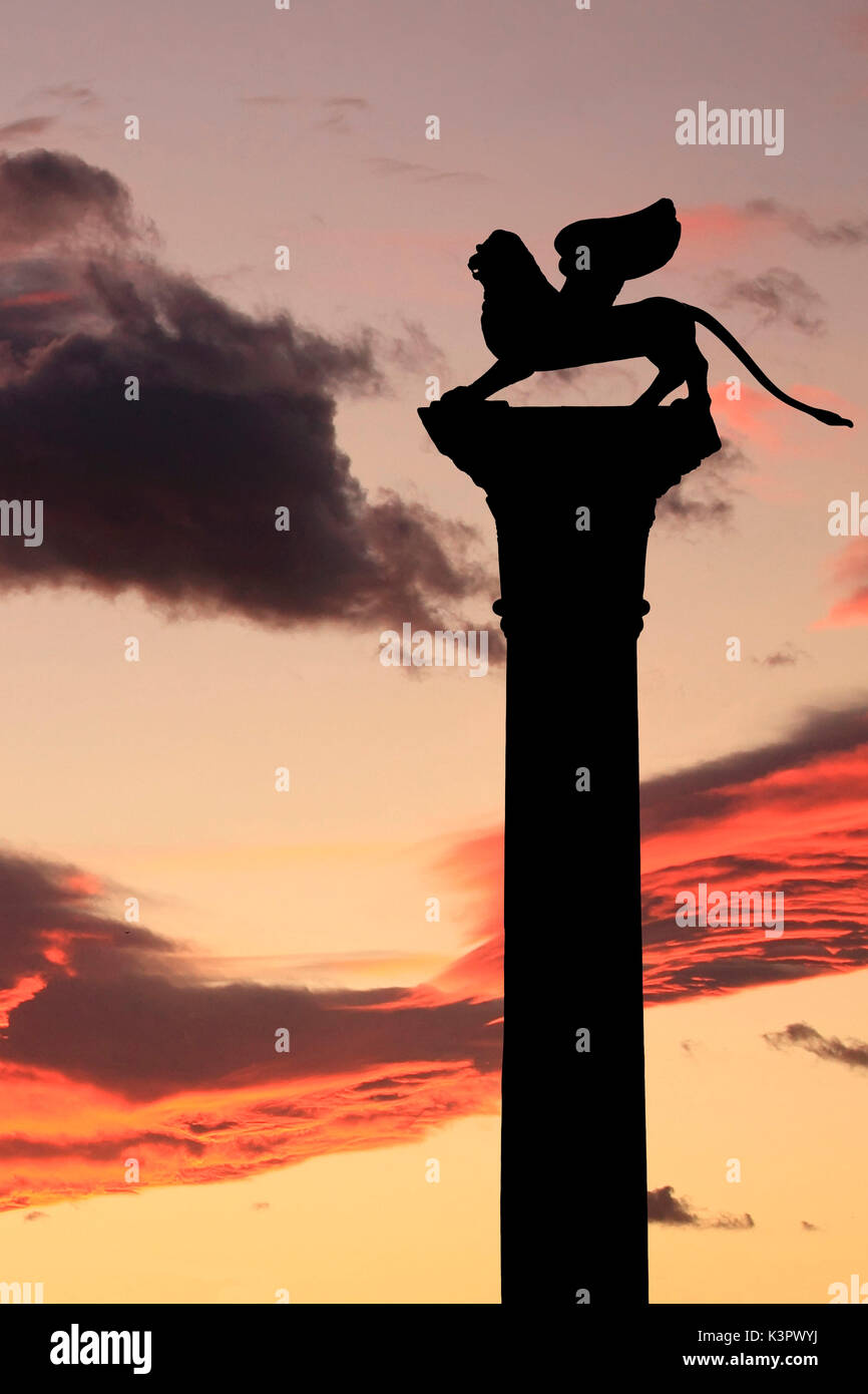 Der Löwe von Venedig, ein traditionelles Symbol für Venedig. Es ist ein Symbol des Evangelisten Markus (der Apostel), die der Stadt ist Schutzpatron Venedigs. Venetien Italien Europa Stockfoto