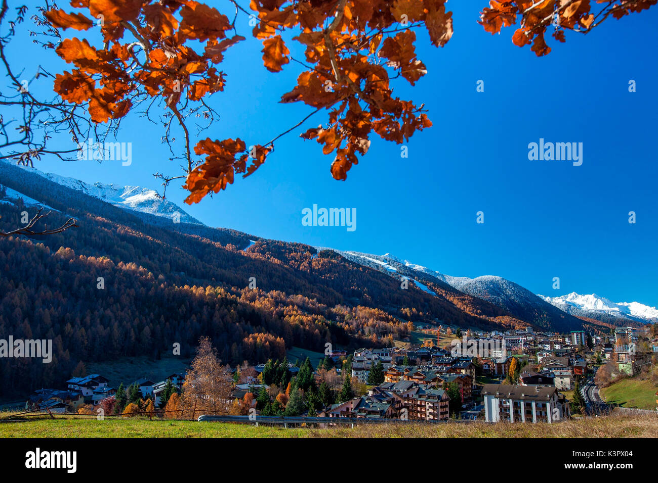 Die hellen Farben der Herbst Malerei im beliebten Skigebiet Aprica in Valtellina Bergamasker Alpen, Sondrio, Lombardei, Italien Europa Stockfoto