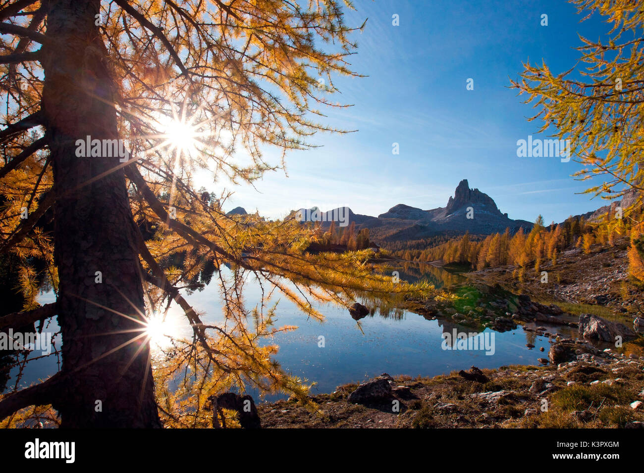Der Herbst ist die Malerei die Landschaft rund um den See Federa. Im Hintergrund ist der Becco di Mezzodi in den Dolomiten von Belluno von Cortina d'Ampezzo Trentino Alto Adige Italien Europa Stockfoto