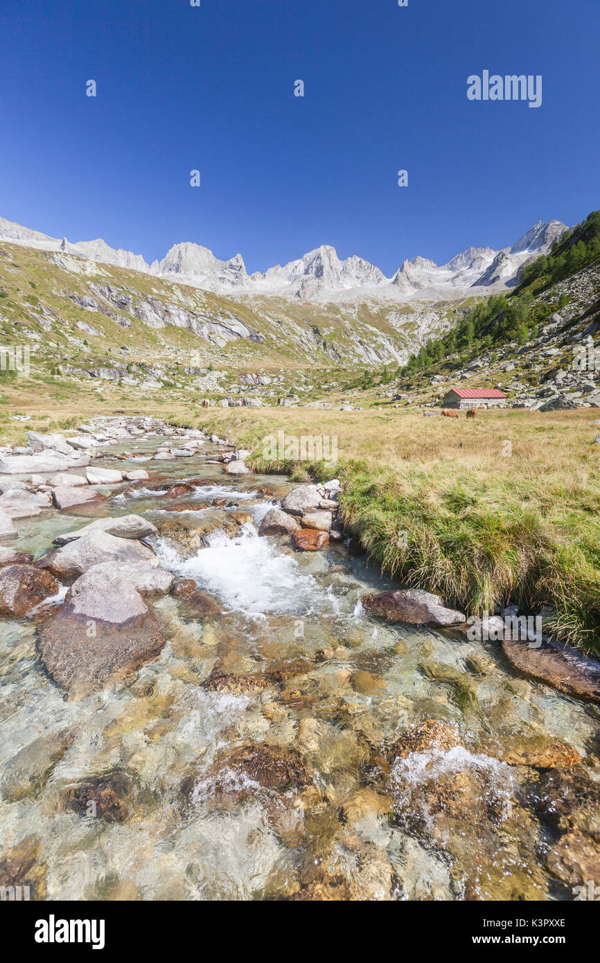 Klare Wasser des Creek Frames die hohen Gipfel Porcellizzo Tal Masino Tal Veltlin Sondrio Provinz Lombardei Italien Europa Stockfoto