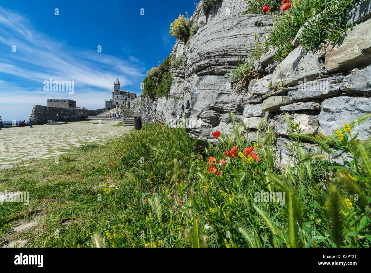 Blumen und blauer Himmel Rahmen der alten Burg und Kirche auf der Landzunge von Portovenere der Provinz von La Spezia in Ligurien Italien Europa Stockfoto