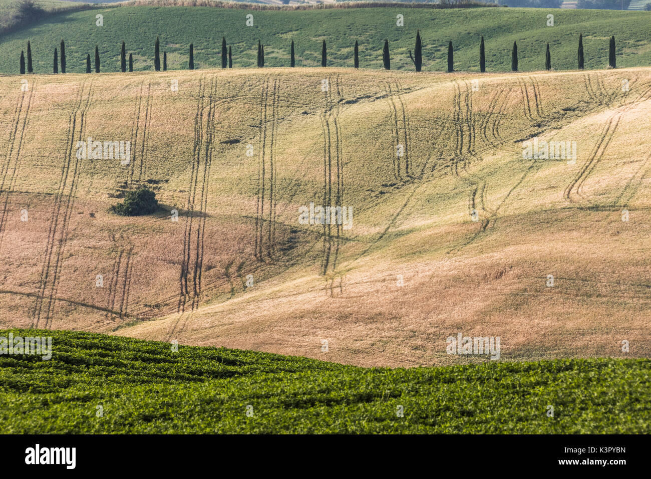 Die geschwungenen Formen der bunten Hügel von der Crete Senesi (Senese Tone) Provinz von Siena Toskana Italien Europa Stockfoto