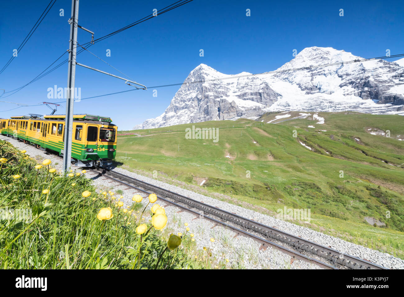 Die Zahnradbahn der Wengernalpbahn führt über Wiesen und schneebedeckten Gipfeln Wengen Berner Oberland Kanton Bern-Schweiz-Europa Stockfoto