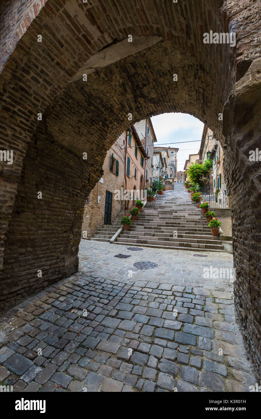 Eine typische Gasse der Altstadt im mittelalterlichen Dorf von Corinaldo Provinz Ancona Marken Italien Europa Stockfoto