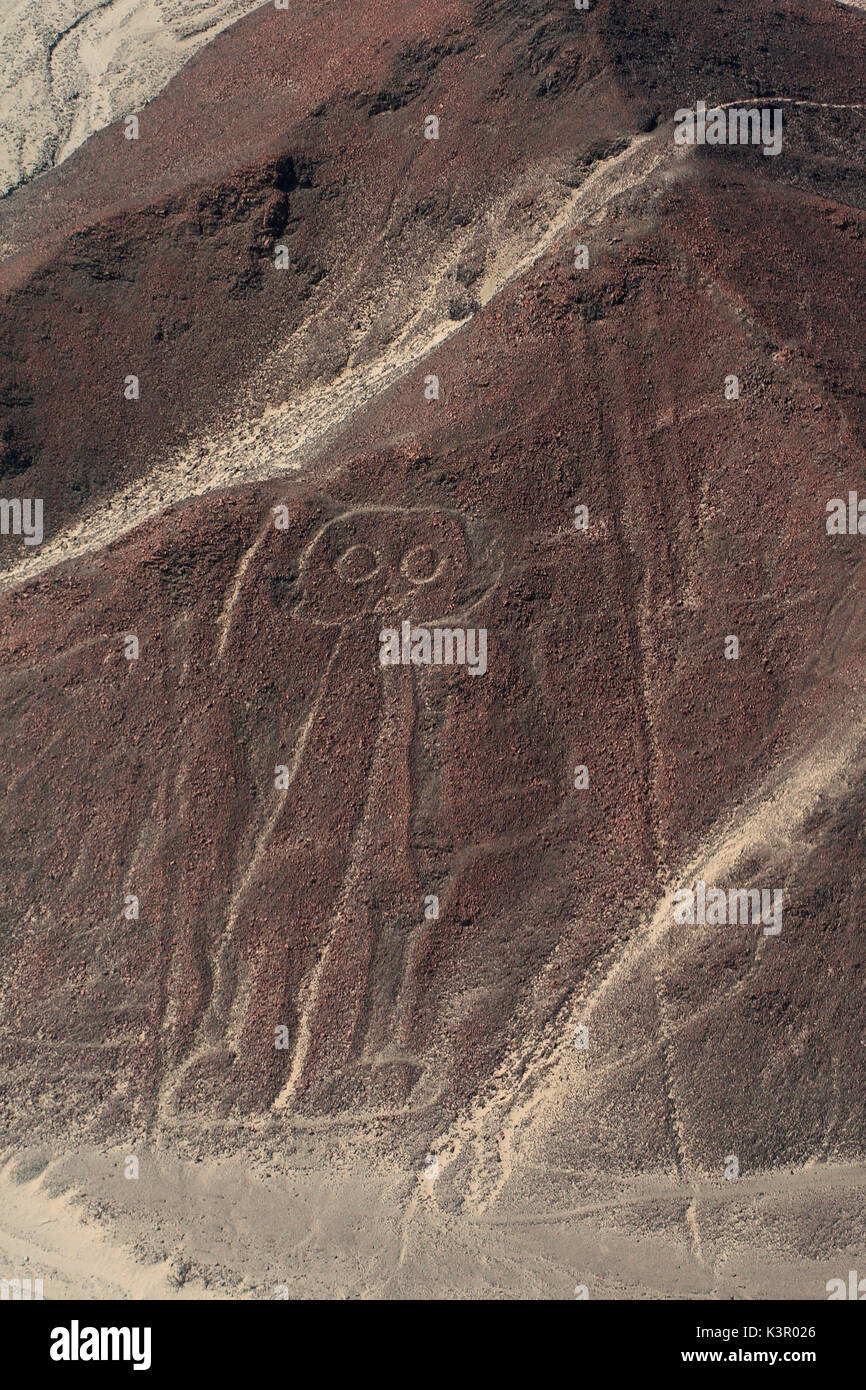 Die Nazca-linien sind riesige Skizzen in der Wüste von Peru von alten Völkern gezeichnet. Die Zeichnungen wurden erstellt auf einem so großen Maßstab ist, so dass die Formen leicht nur aus der Luft erkannt werden können, was zu einer Vielzahl von Theorien über ihren Zweck Peru Südamerika Stockfoto