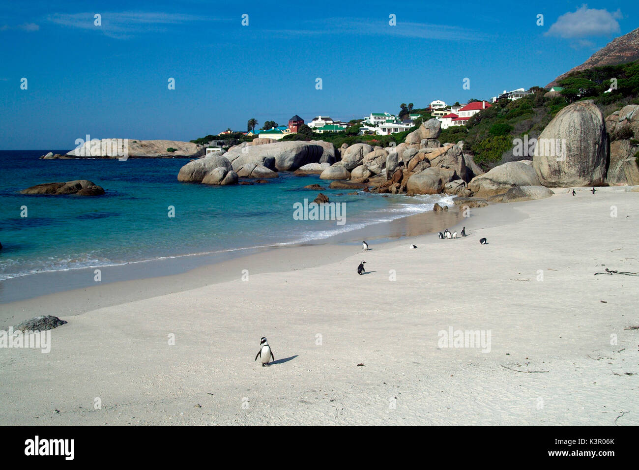 Das Meer bei Bouldders Strand ist gut zum Schwimmen und die große, runde Steine am Strand bieten einige Schatten und Schutz für Pinguine - Südafrika Stockfoto