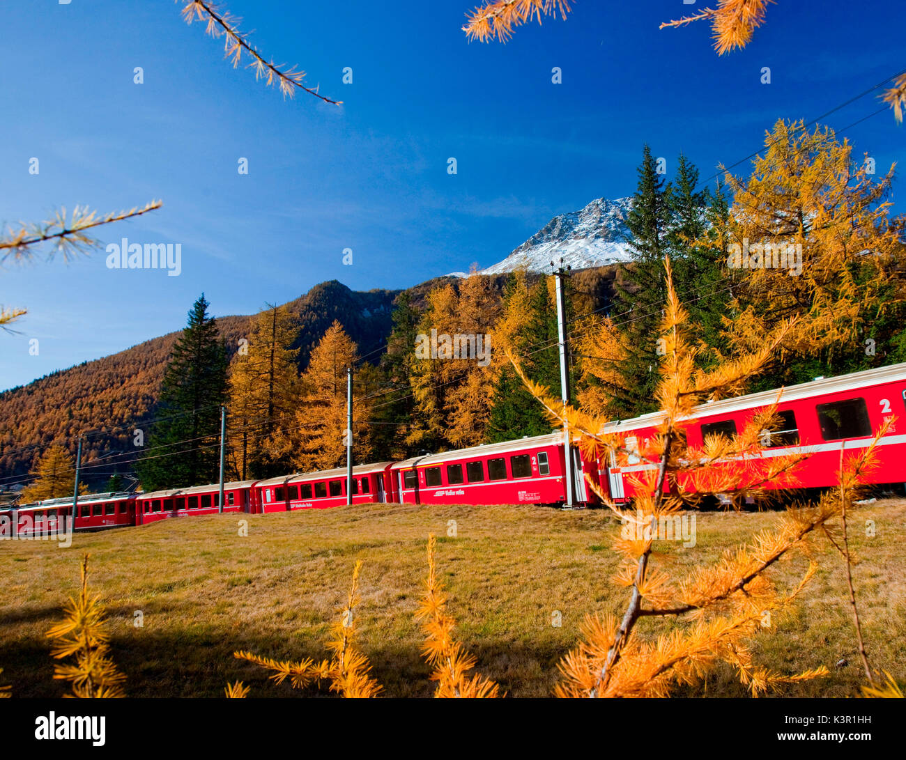 Der Bernina Express im Herbst Landschaft von Val Poschiavo, Schweiz Europa Stockfoto