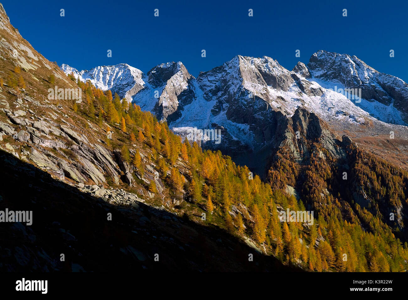 Die schneebedeckten Gipfel, dass der Wald im Herbst übersehen. Mello Tal. Valmasino. Valtellina. Lombardei Italien Europa Stockfoto