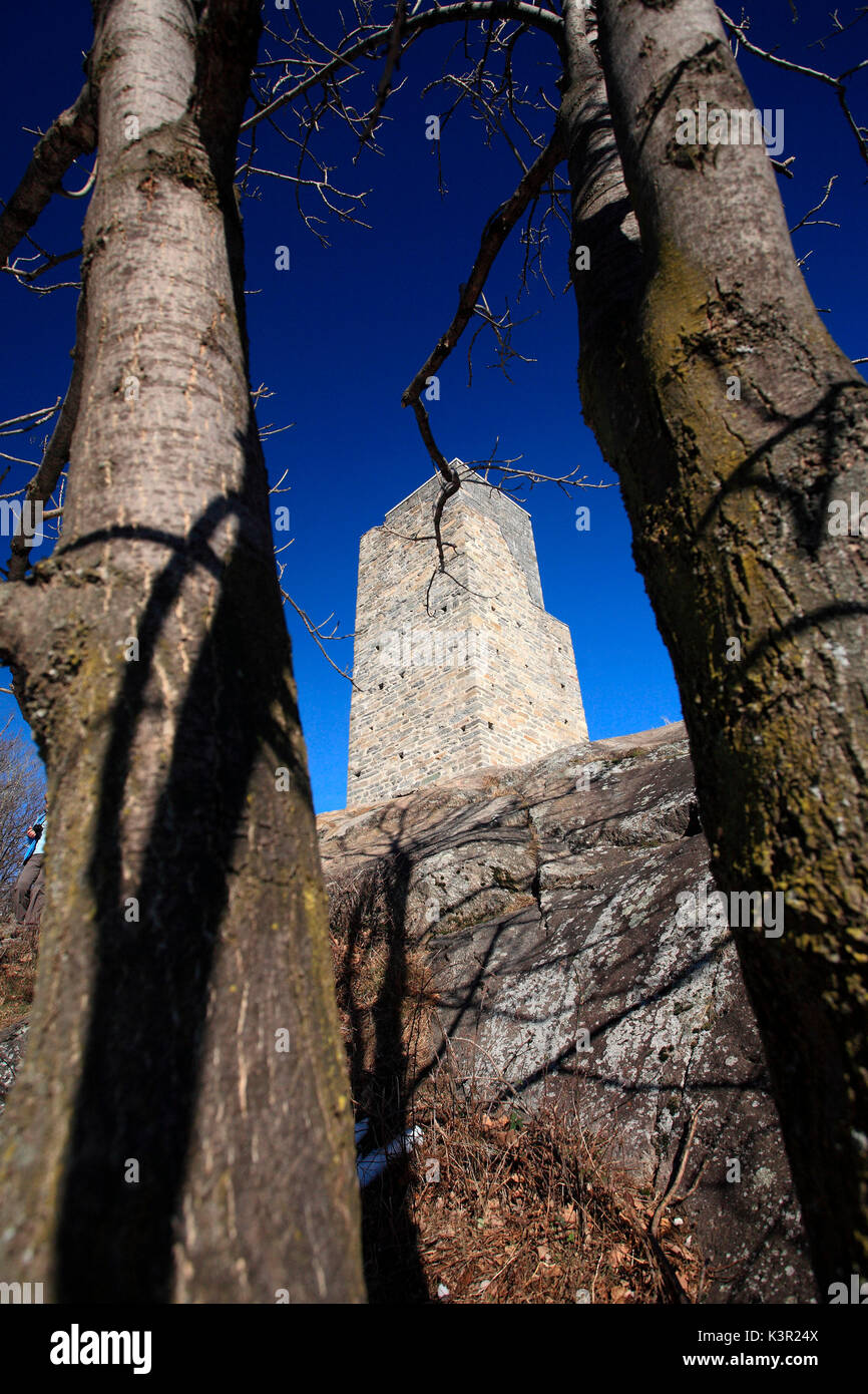 Der Turm von Segname historische Gebäude über Gordona durch die Äste der Bäume, die es umgeben sichtbar ist. Valchiavenna. In der Lombardei. Italien Europa Stockfoto