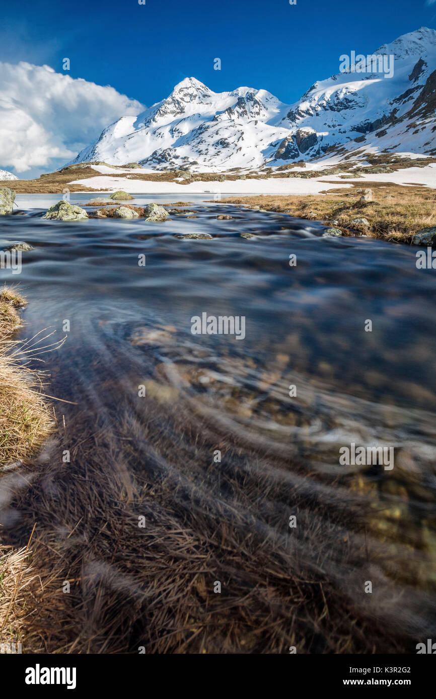 Lej Pitschen umgeben von schneebedeckten Bergen Berninapass Kanton Graubünden Engadin Schweiz Europa Stockfoto