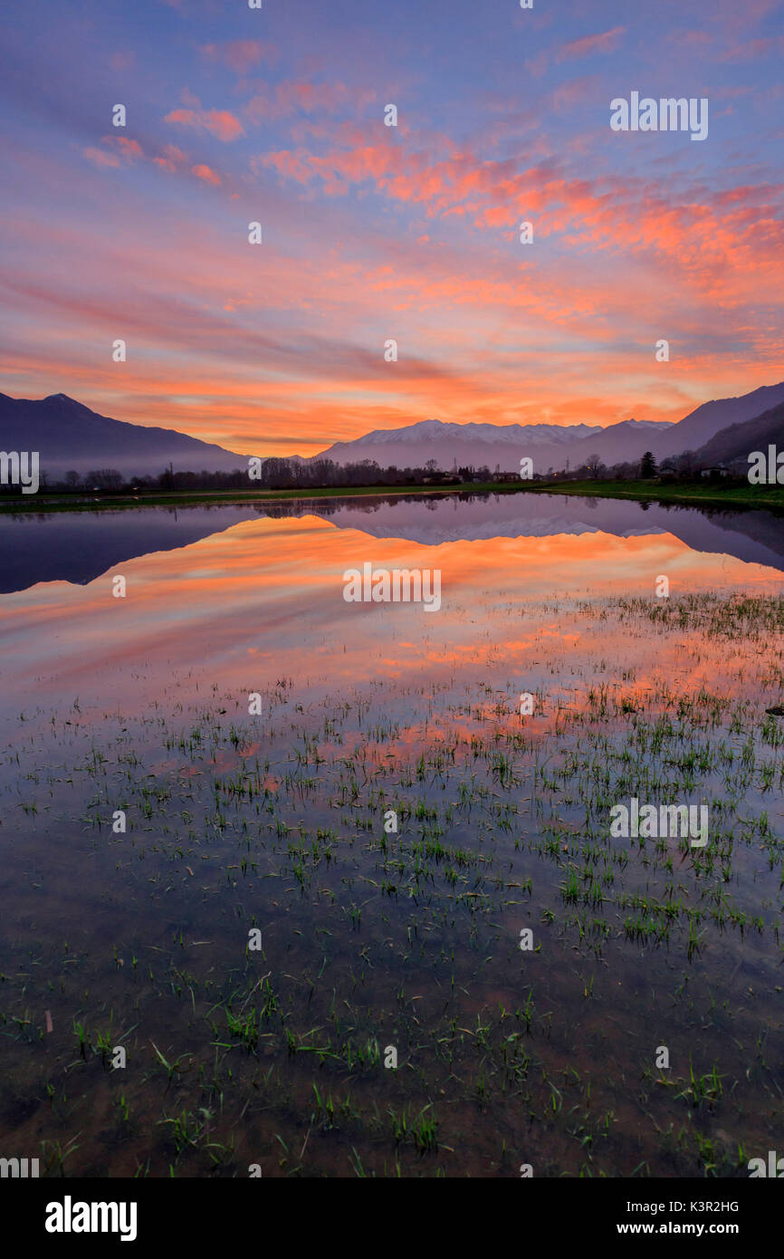 Naturpark von Pian di Spagna überflutet mit den Monte Legnone im Wasser bei Sonnenuntergang Valtellina Lombardei Italien Europa wider Stockfoto