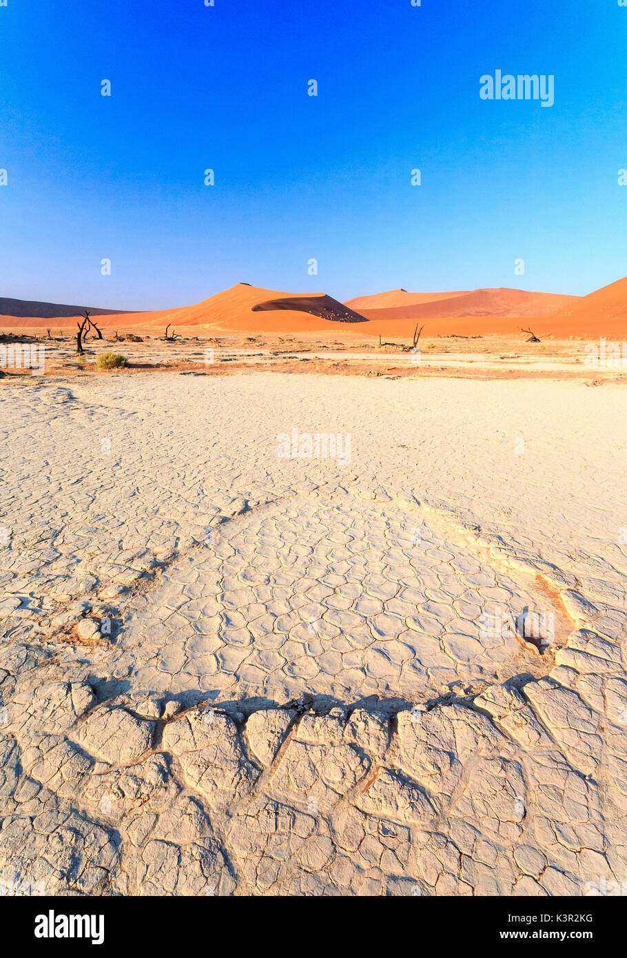 Ausgetrockneten Boden und tot Akazie, umgeben von Sanddünen Deadvlei Sossusvlei Wüste Namib Naukluft Nationalpark Namibia Afrika Stockfoto