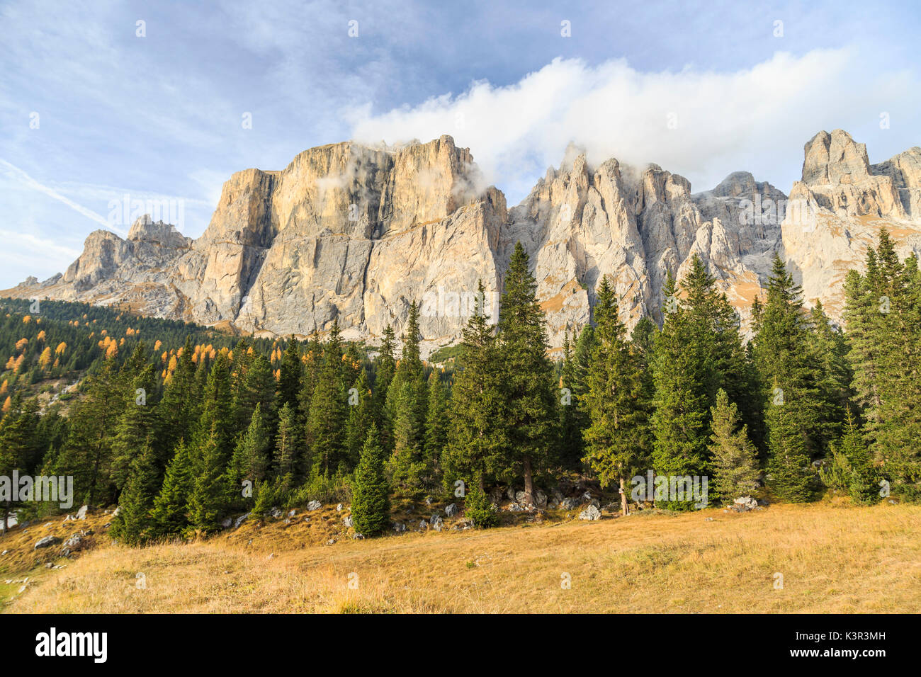 Bunte Wälder im Herbst am Sellajoch. Dolomiten-Fassatal Trentino Alto Adige-Italien-Europa Stockfoto