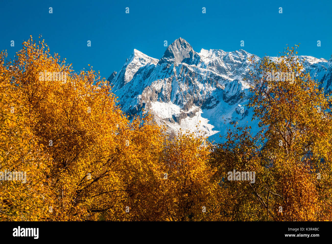 Alpen; Herbst; Herbst Farben; Bäume im Herbst; badile Spitzenleistung; Bergell; cengalo Peak; italienische Gebirge Landschaften; Berg; Berge; Suisse; Schweiz; Bäume; lanscapes; italienische Bergwelt Stockfoto