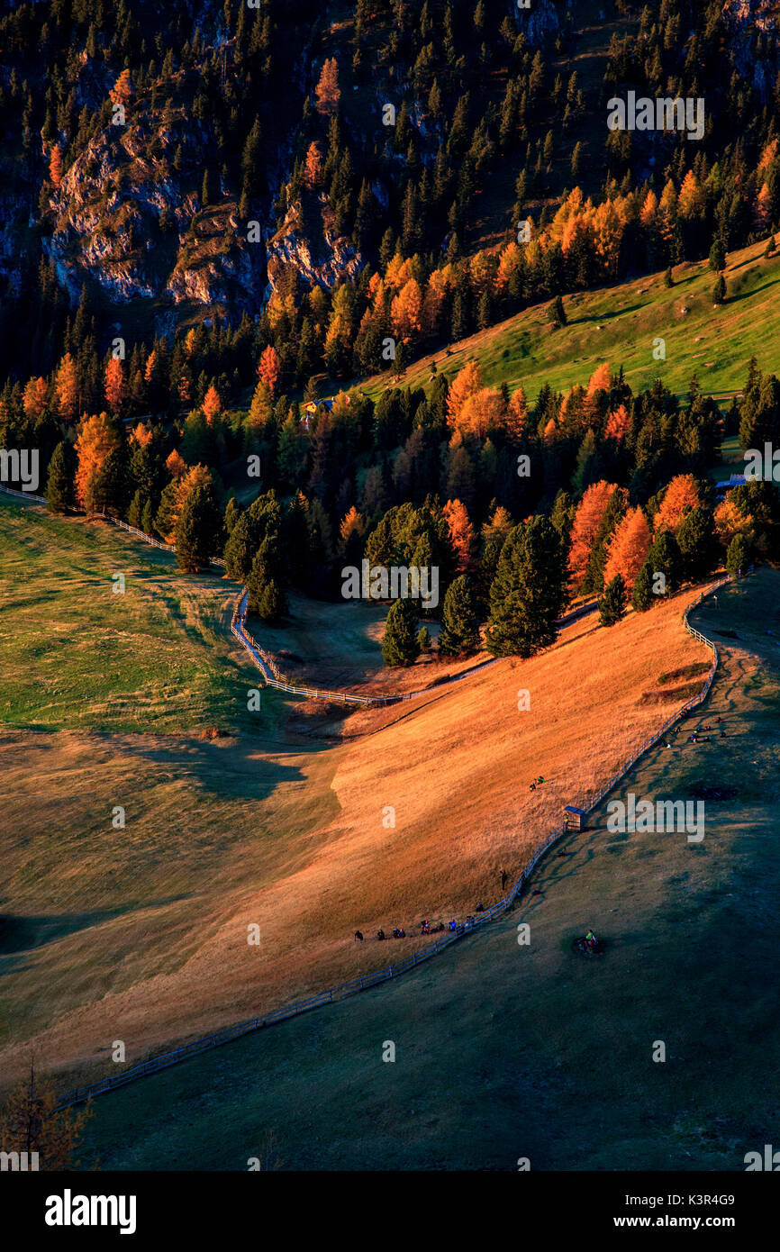 Das letzte Licht an der Malga Gampen im Herbst, Villnösser Tal, Trentino Alto Adige, Italien Stockfoto