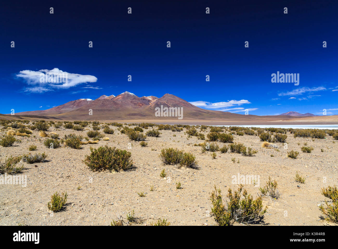 Salar de Uyuni, Potosi, Bolivien, Südamerika Stockfoto