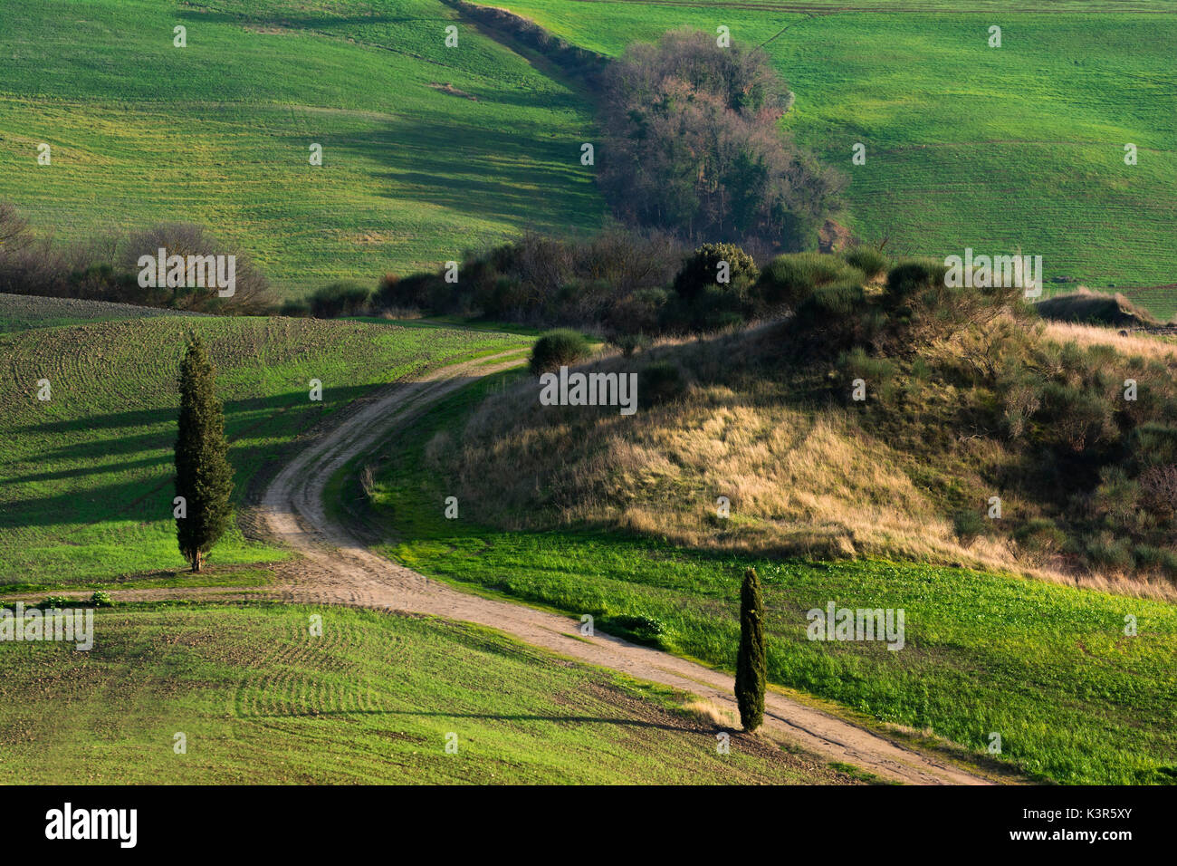 Val d'Orcia, in der Provinz von Siena, Italien, Toskana. Stockfoto