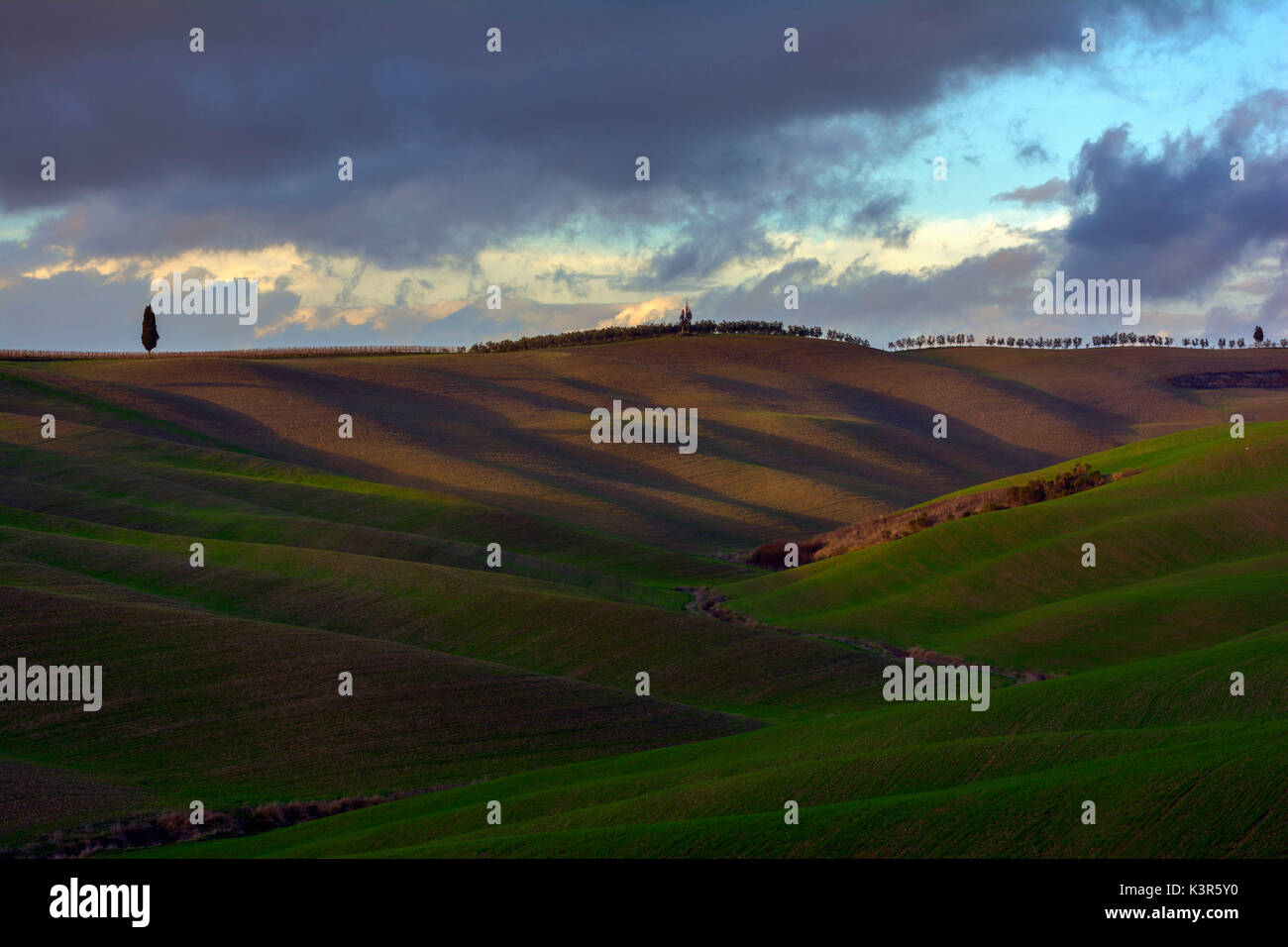 Hügel des Val d'Orcia, in der Provinz von Siena, Toskana, Italien. Stockfoto