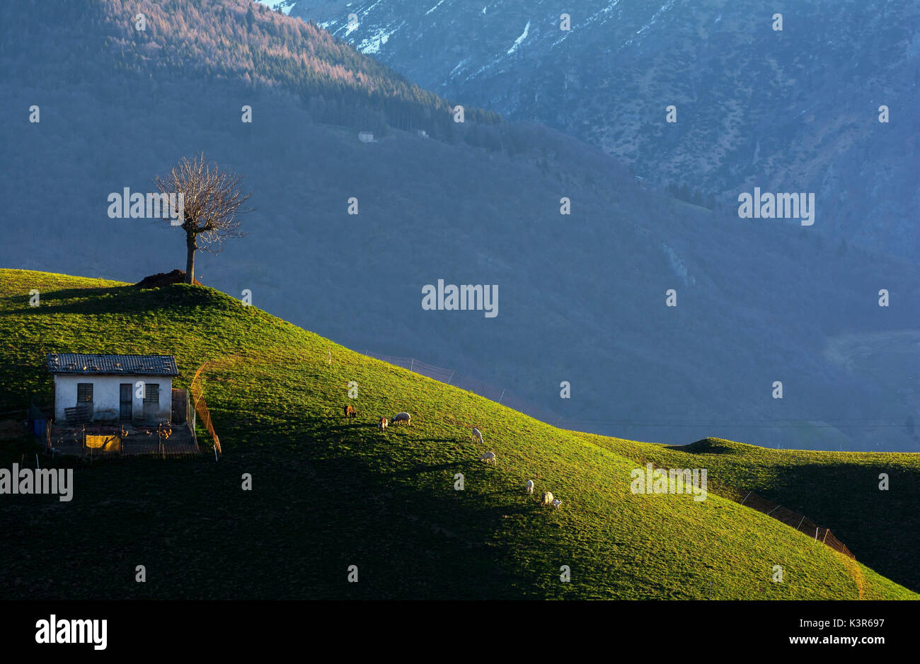 Ein natürliches Bild, in Val Serina, Provinz Bergamo, ein Ort der absoluten Ruhe und Beschaulichkeit. Stockfoto