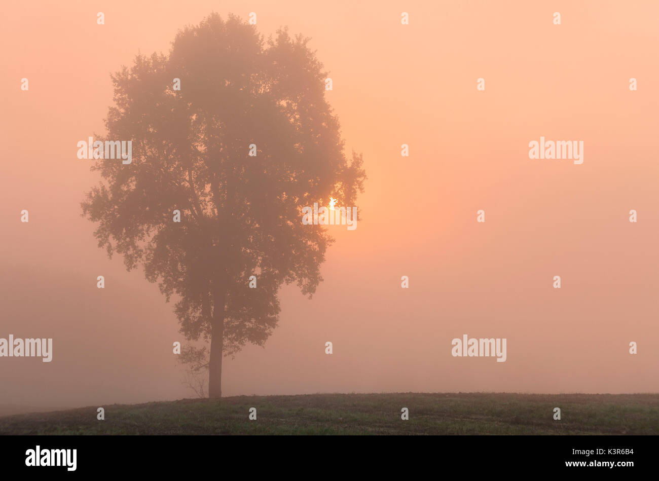 Poebene, Piemont, Italien. Landschaft des Piemont im Herbst an einem nebligen Morgen Stockfoto