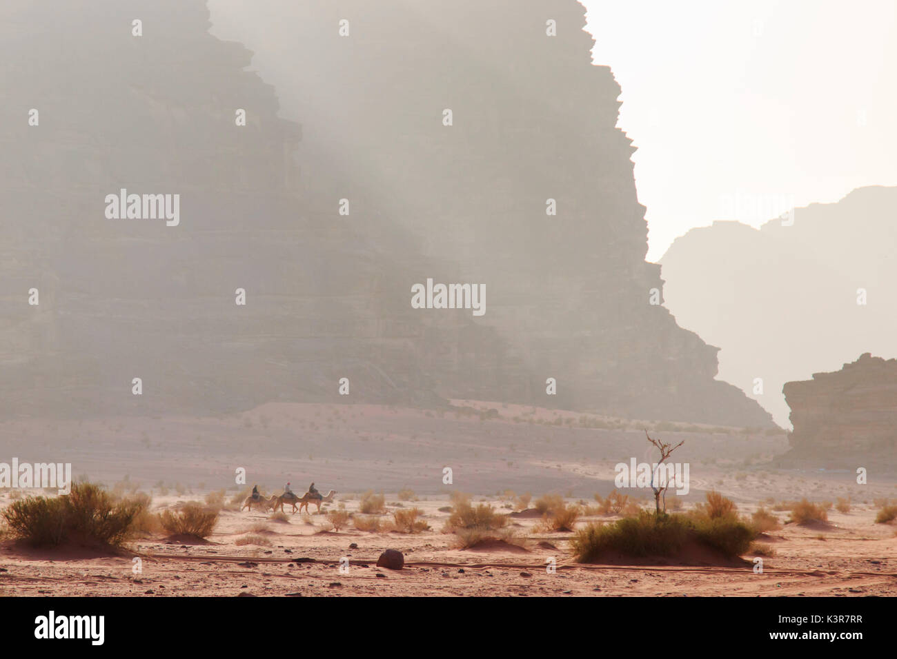 Touristen-Kamelreiten bei Sonnenuntergang in der Wüste Wadi Rum, Jordanien Stockfoto