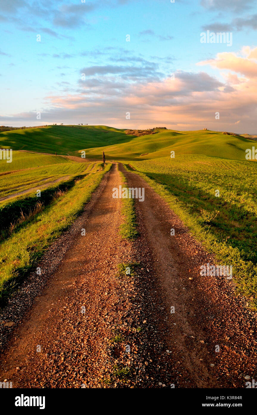 Landstraßen im Val d'Orcia, Toskana Stockfoto