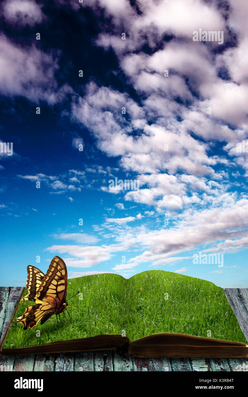 Schmetterling sitzt auf einem offenen Buch mit Seiten aus grünem Gras, Phantasie und Kreativität Konzept Stockfoto