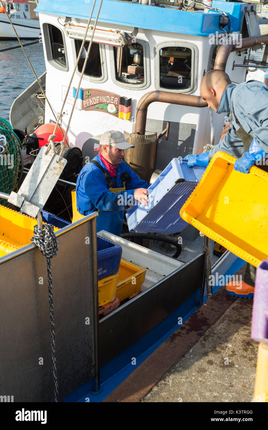 Fischer laden Boxen für storgae der Fisch auf dem Boot im Hafen von Vitte auf Hiddensee, bevor er für Angeln, Mecklenburg-Vorpommern, Deutschland Stockfoto