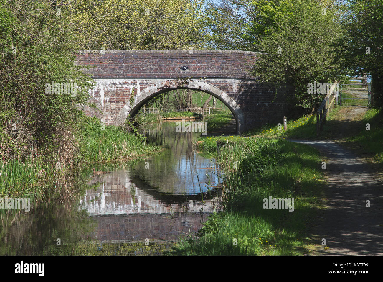 Montgomeryshire Kanal bei Berriew mit Brücke über den Kanal Stockfoto