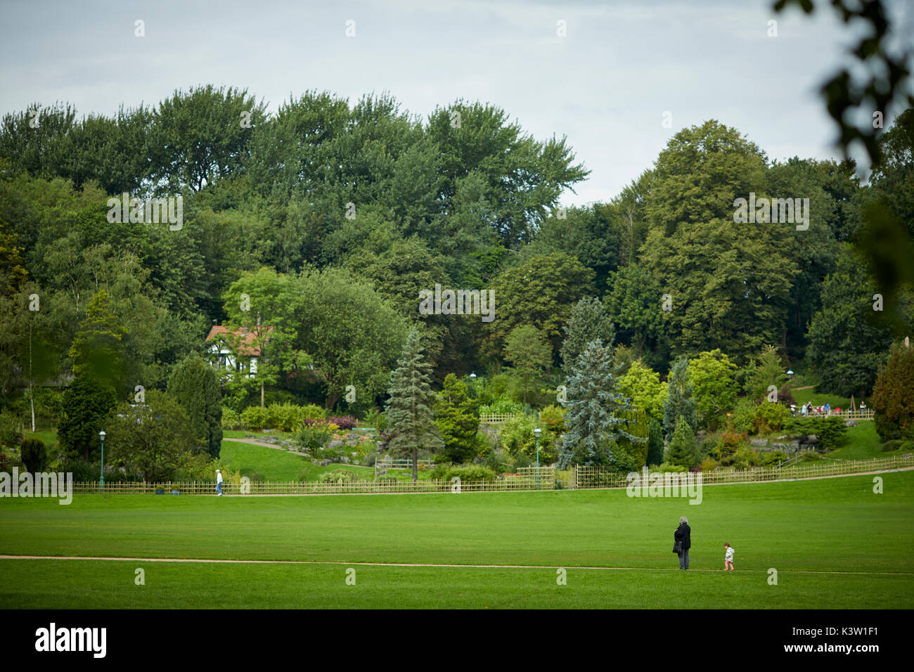 Bäume und Rasenflächen, in öffentliche Grünfläche Avenham und Miller Parks in Preston, Lancashire, Stockfoto