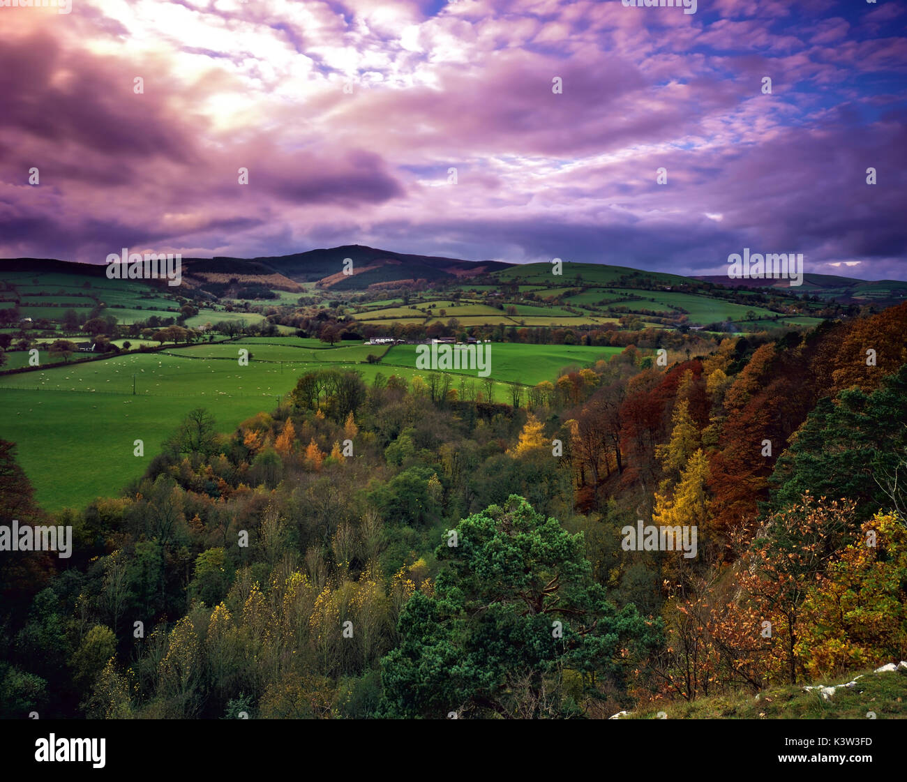 Ein Herbst Blick auf Kriegsfuß Country Park, Nord Wales und die umliegende Landschaft. Stockfoto