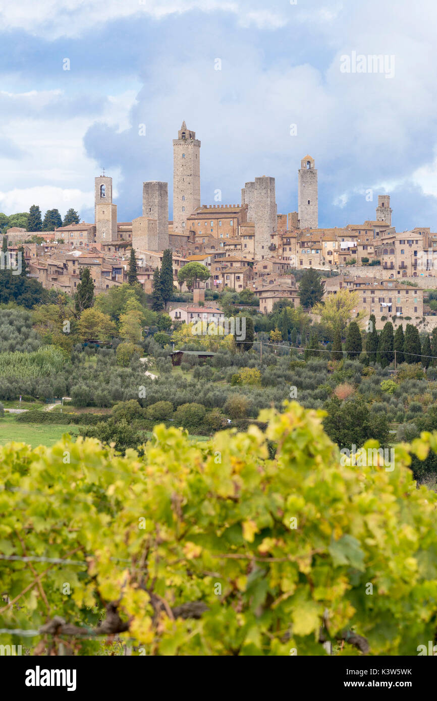 Historisches Zentrum von San Gimignano von Weinberge im Herbst. San Gimignano, Elsa Valley, Provinz Siena, Toskana, Italien, Europa Stockfoto