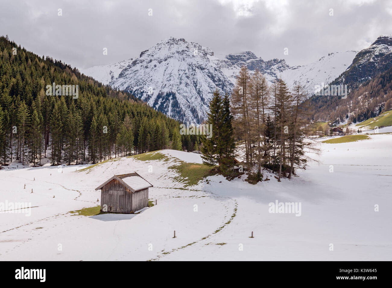 Obernberg bin Brenner, Innsbruck Land, Tirol - Tirol, Österreich, Europa Stockfoto