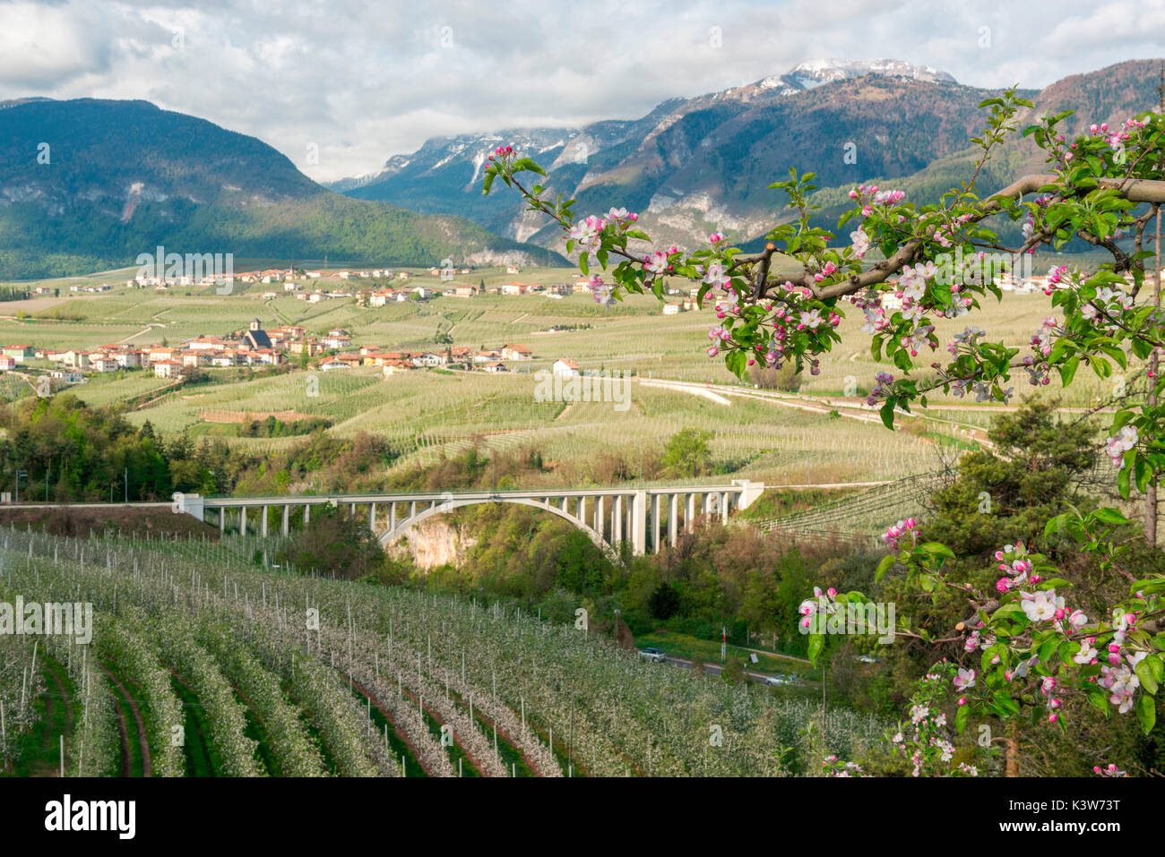 Italien, Trentino Alto Adige, Apple Blüte der Nonstal und S. Giustina Brücke. Stockfoto