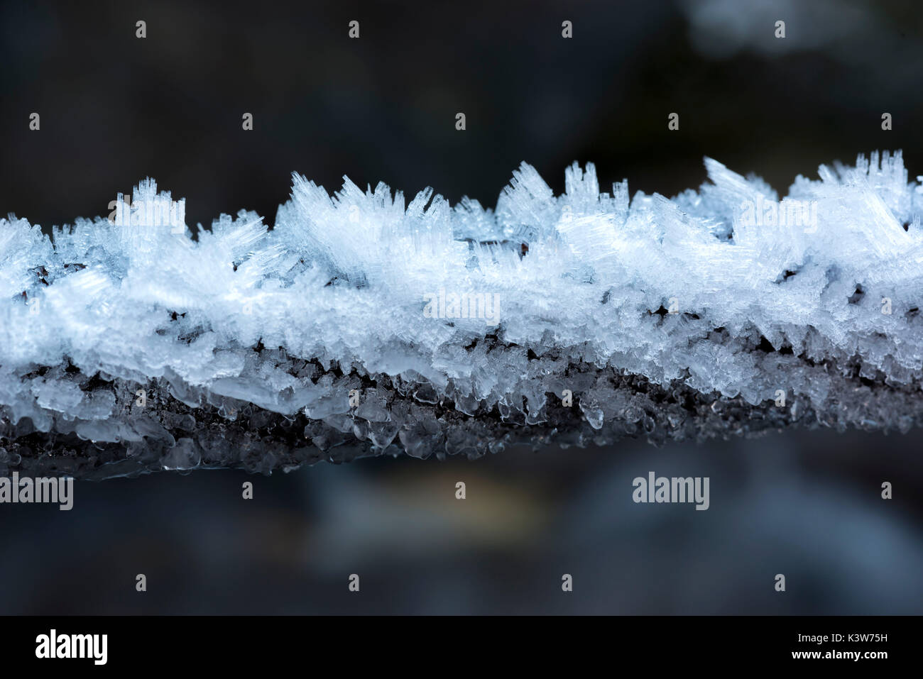 Bügeleisen Seil in einem eiskalten Winter morgen vom Eis gefangen, Nonstal, Trentino Alto Adige, Italien. Stockfoto