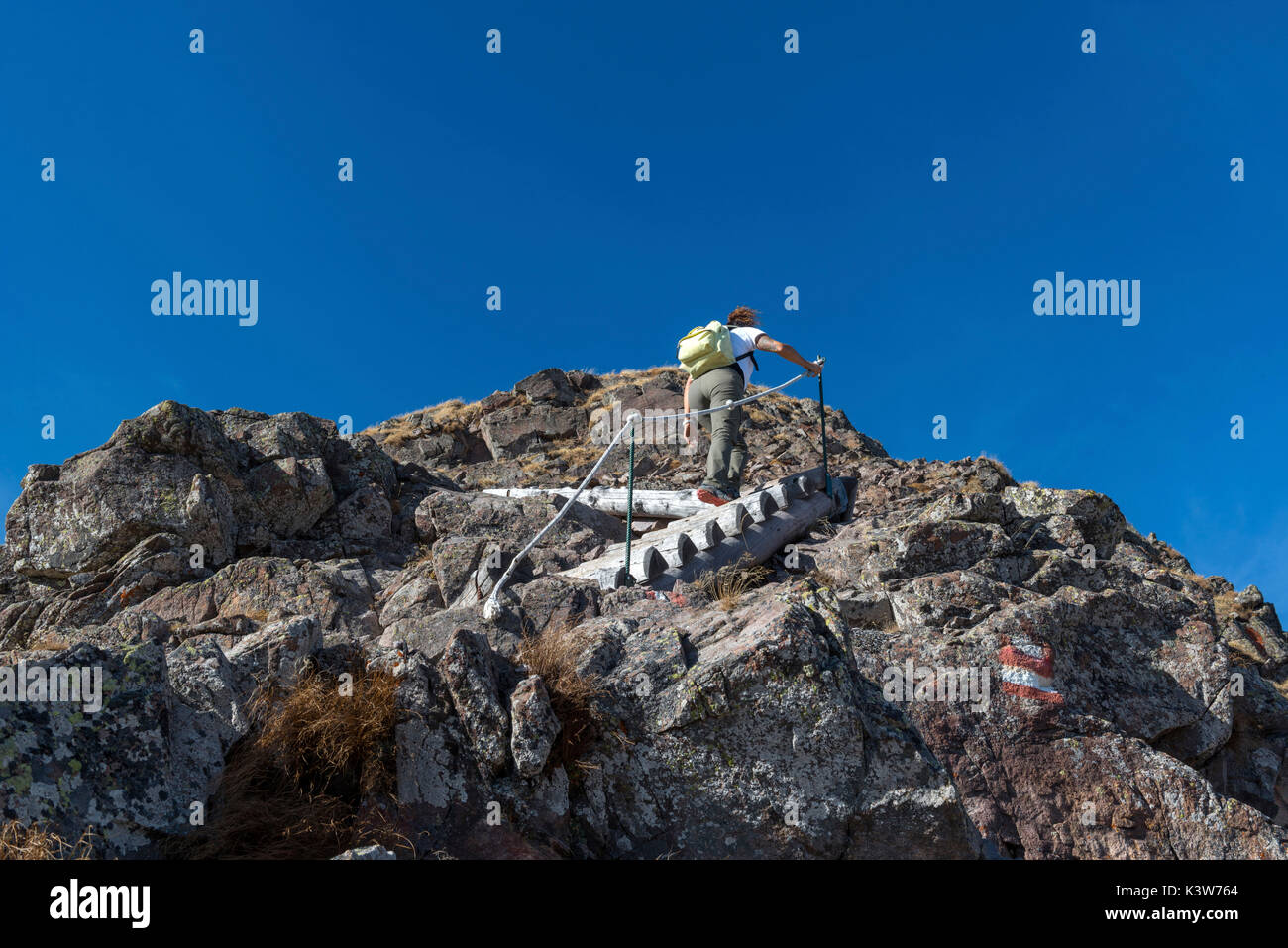 Italien, Trentino Alto Adige, Nonstal, Frau Wanderer steigt auf den Gipfel des Luco auf die steile Holztreppe. Stockfoto