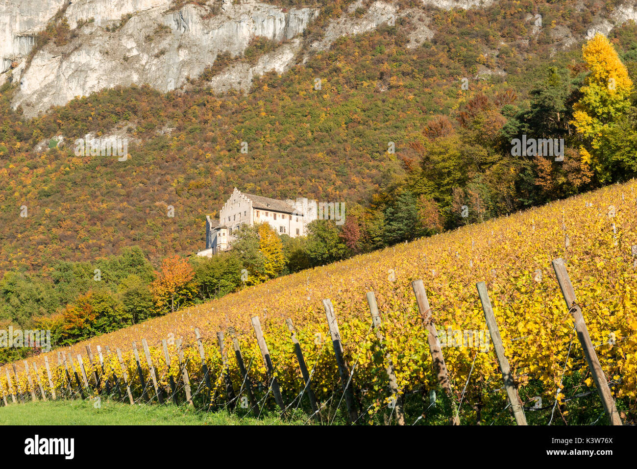 Italien, Trentino Alto Adige, Weinberge im Herbst auf dem Plan von Monreale Schloss. Stockfoto