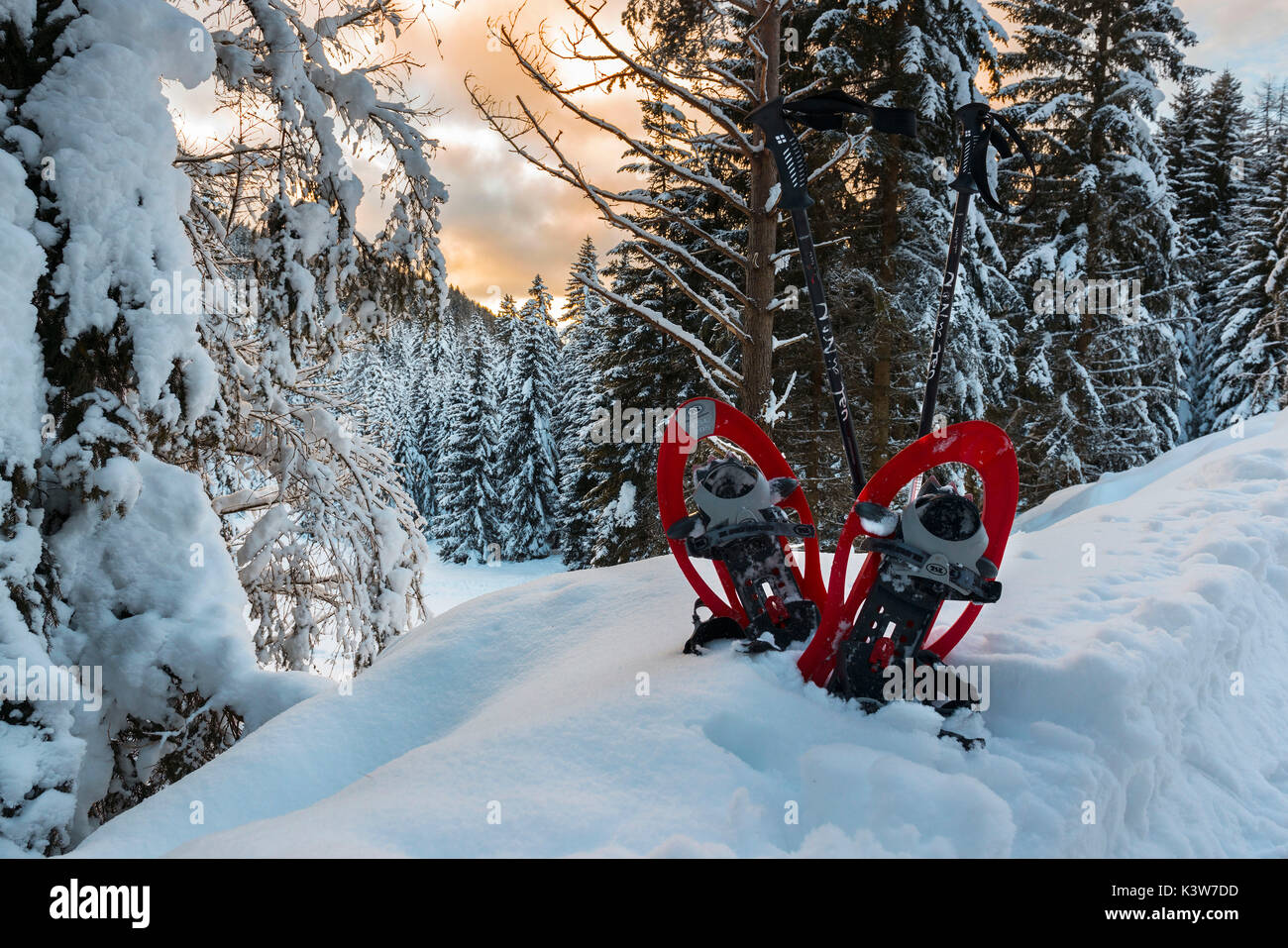 Europa, Italien, Trentino Alto Adige, Nonstal. Schneeschuhe im Schnee im Hintergrund die vielen schneebedeckten Bäumen und. Stockfoto